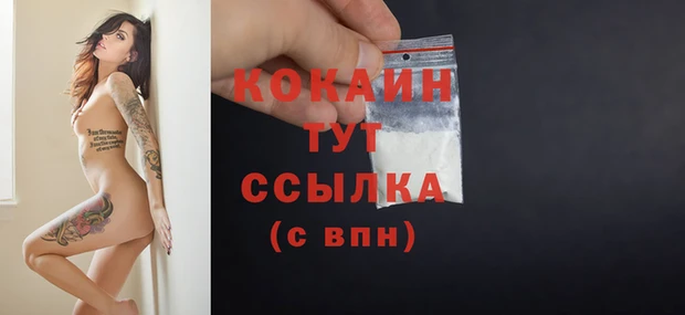 apvp Дмитров