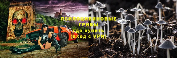 spice Дмитровск
