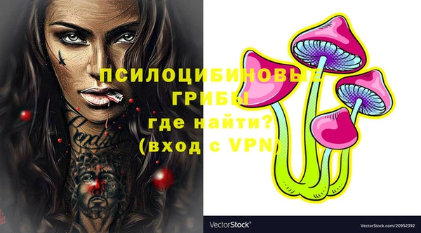 apvp Дмитров